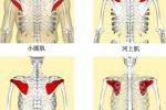 邱博士談武學(xué)：武學(xué)中小肌肉群、小關(guān)節(jié)與人體穩(wěn)定性