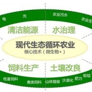 辦一個生態(tài)循環(huán)養(yǎng)殖農(nóng)場需要什么手續(xù)？申請流程是什么？