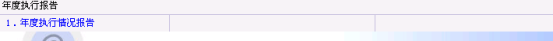 年度執(zhí)行情況報告