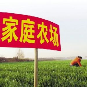 自辦家庭農(nóng)場政府有扶持政策嗎？