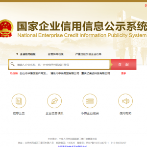 企業(yè)年報(bào)其他自行公式信息填報(bào)操作說(shuō)明-【國(guó)家企業(yè)信用信息公示系統(tǒng)】