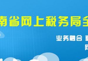 湖南省電子稅務(wù)局《申報表作廢申請單》填寫說明及示范文本