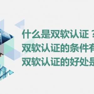 什么是雙軟認證？雙軟認證的條件是什么？雙軟認證的好處有哪些？