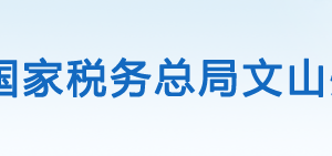 文山市稅務局辦稅服務廳辦公時間地址及咨詢電話