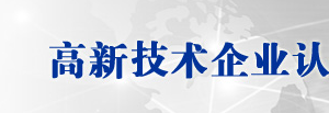 年度高新技術企業(yè)發(fā)展情況報表（示范文本）