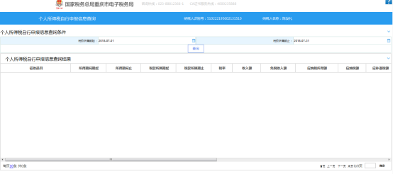 個(gè)人所得稅自行申報(bào)信息查詢(xún)