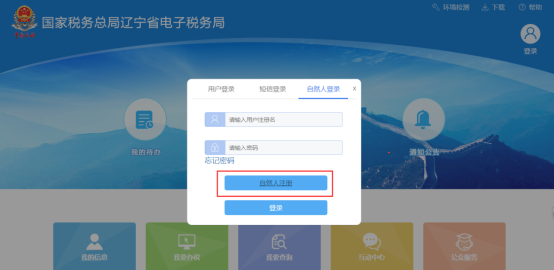 遼寧省電子稅務局自然人注冊