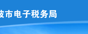 寧波市電子稅務局單位納稅人登記操作流程說明