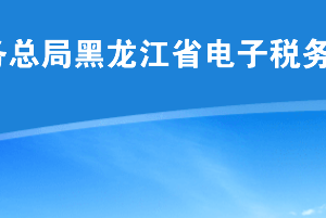 黑龍江省電子稅務(wù)局應(yīng)用系統(tǒng)技術(shù)服務(wù)咨詢(xún)電話(huà)