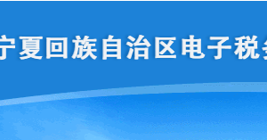 寧夏電子稅務(wù)局電子稅務(wù)局智慧財(cái)務(wù)報(bào)表報(bào)送操作說明