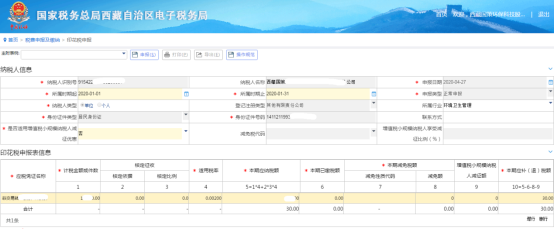 提交申報確定繳款