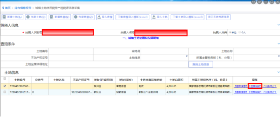 點擊土地信息中的“應稅明細”按鈕