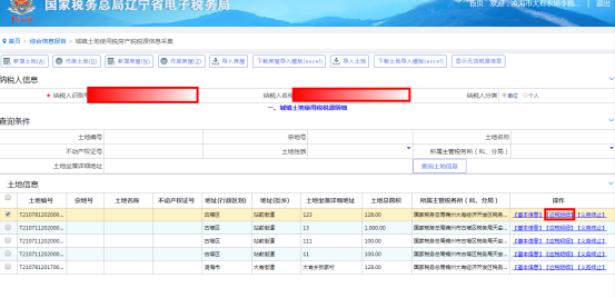 應稅明細信息維護頁