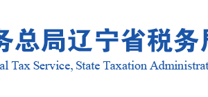 遼寧省電子稅務(wù)局移動辦稅APP定期定額戶自行申報流程說明