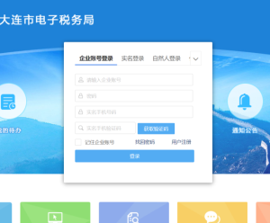 大連市電子稅務局入口及登錄方式操作說明