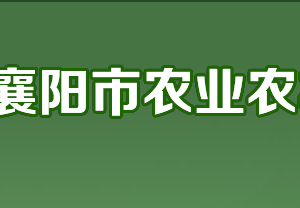 襄陽市農(nóng)業(yè)農(nóng)村局各部門工作時(shí)間及聯(lián)系電話