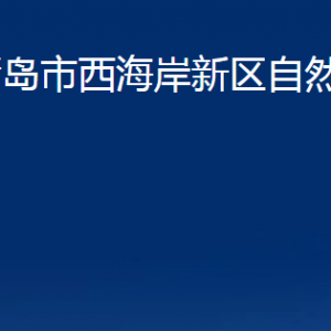 青島市西海岸新區(qū)自然資源局各部門辦公時(shí)間及聯(lián)系電話