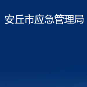 安丘市應(yīng)急管理局各部門(mén)對(duì)外聯(lián)系電話(huà)