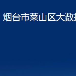 煙臺(tái)市萊山區(qū)大數(shù)據(jù)局各部門對(duì)外聯(lián)系電話