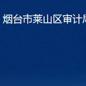 煙臺市萊山區(qū)審計(jì)局各部門對外聯(lián)系電話