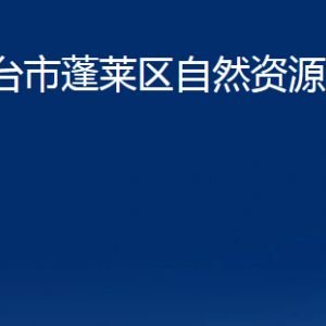 煙臺(tái)市蓬萊區(qū)自然資源和規(guī)劃局各部門對(duì)外聯(lián)系電話