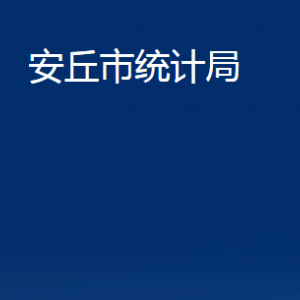 安丘市統(tǒng)計(jì)局各部門職責(zé)及聯(lián)系電話