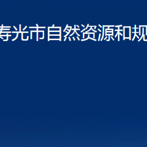 壽光市自然資源和規(guī)劃局各部門職責(zé)及對(duì)外聯(lián)系電話