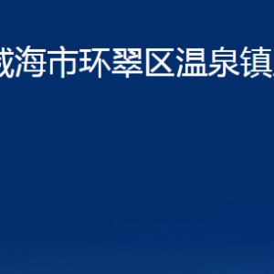 威海市環(huán)翠區(qū)溫泉鎮(zhèn)政府便民服務中心對外聯系電話