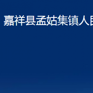 嘉祥縣孟姑集鎮(zhèn)政府為民服務(wù)中心對(duì)外聯(lián)系電話(huà)及地址