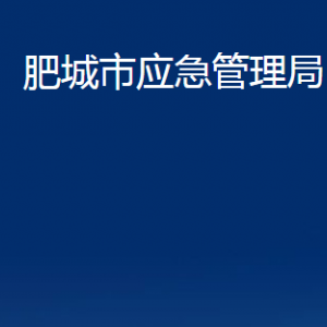 肥城市應急管理局各服務中心對外聯(lián)系電話及地址