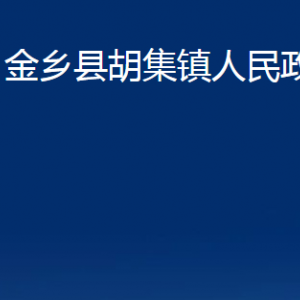 金鄉(xiāng)縣胡集鎮(zhèn)政府為民服務(wù)中心對(duì)外聯(lián)系電話及地址