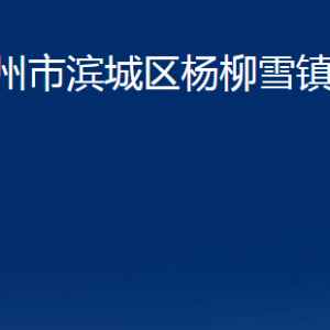 濱州市濱城區(qū)楊柳雪鎮(zhèn)政府便民服務(wù)中心辦公時間及聯(lián)系電話