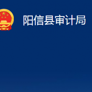 陽(yáng)信縣審計(jì)局各部門職責(zé)及對(duì)外聯(lián)系電話辦公時(shí)間