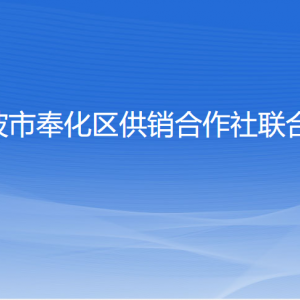 寧波市奉化區(qū)供銷合作社聯(lián)合社各部門(mén)負(fù)責(zé)人和聯(lián)系電話