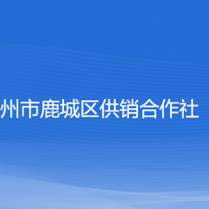 溫州市鹿城區(qū)供銷(xiāo)合作社各部門(mén)負(fù)責(zé)人和聯(lián)系電話