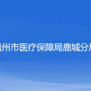 溫州市醫(yī)療保障局鹿城分局各部門負(fù)責(zé)人和聯(lián)系電話