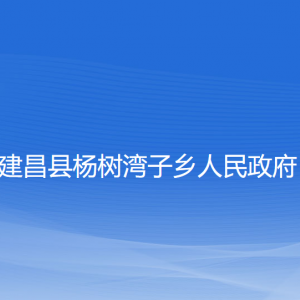 建昌縣楊樹灣子鄉(xiāng)人民政府各部門聯(lián)系電話