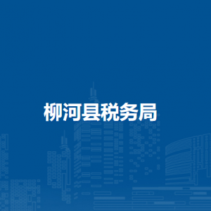 柳河縣稅務(wù)局辦稅服務(wù)廳地址辦公時間及納稅咨詢電話