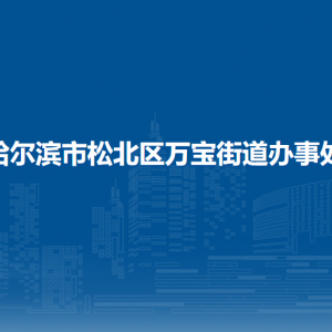 哈爾濱市松北區(qū)萬寶街道辦事處各部門職責及聯(lián)系電話