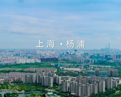 上海市楊浦區(qū)城市管理行政執(zhí)法局