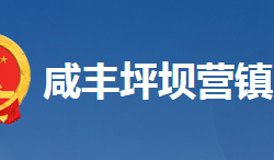 咸豐縣坪壩營(yíng)鎮(zhèn)人民政府