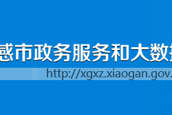 孝感市政務服務和大數據管理局