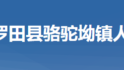 羅田縣駱駝坳鎮(zhèn)人民政府