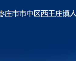 棗莊市市中區(qū)西王莊鎮(zhèn)人民政府