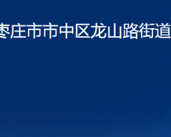 棗莊市市中區(qū)龍山路街道辦事處