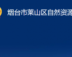 煙臺市萊山區(qū)自然資源局