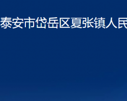 泰安市岱岳區(qū)夏張鎮(zhèn)人民政府