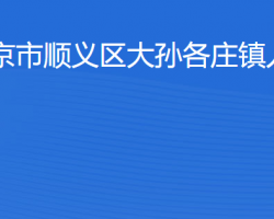 北京市順義區(qū)大孫各莊鎮(zhèn)人民政府