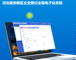 河北雄安新區(qū)企業(yè)登記全程電子化系統(tǒng)入口