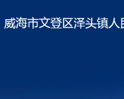 威海市文登區(qū)澤頭鎮(zhèn)人民政府